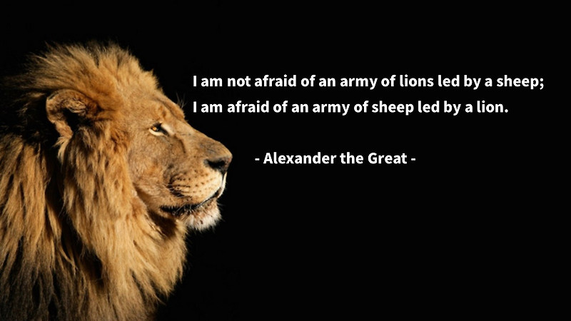 영어 인생명언&명대사:용맹한, 지도자, 리더, 군대, 사자, lion, leader, army -알렉산더 대왕 Alexander-Life Quotes&Proverb