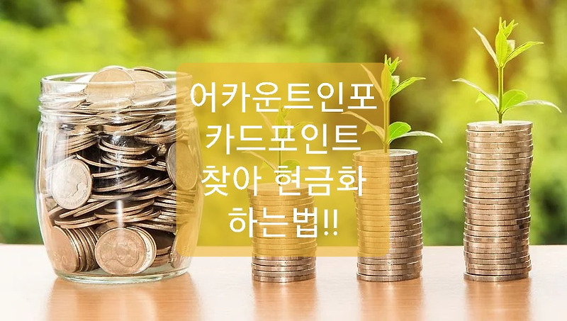 어카운트인포 카드포인트 현금화 하기
