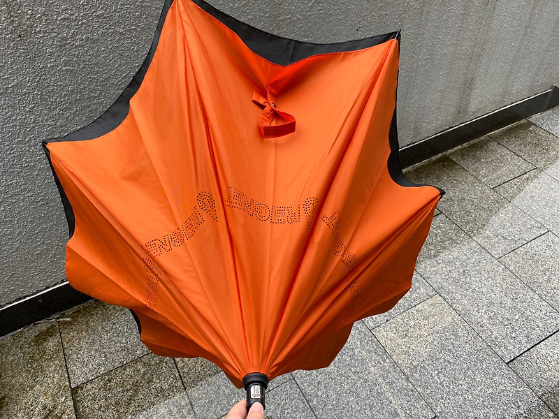 차 탈 때 편한 장우산, 레그넷 거꾸로 우산 레귤러 장마철 필수템