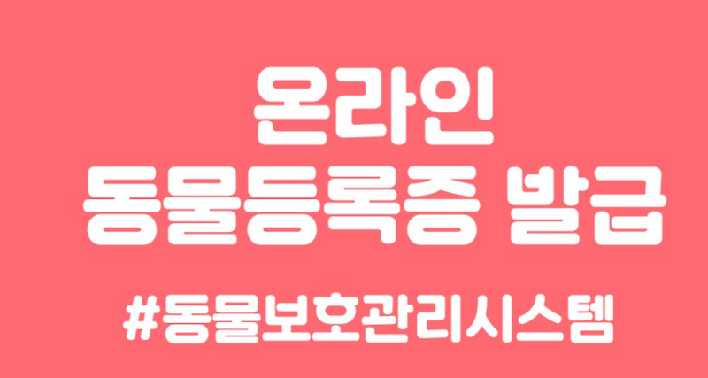 동물보호관리시스템이 뭘까?