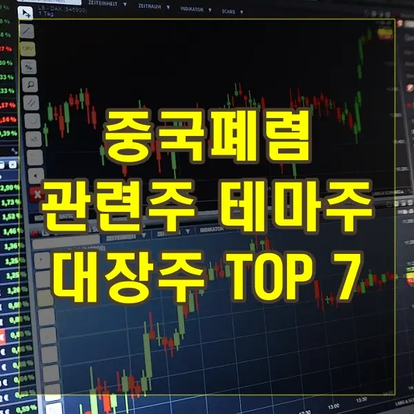 중국폐렴 관련주 수혜주 테마주 대장주 멕아이씨에스 한국파마 TOP 7 소개