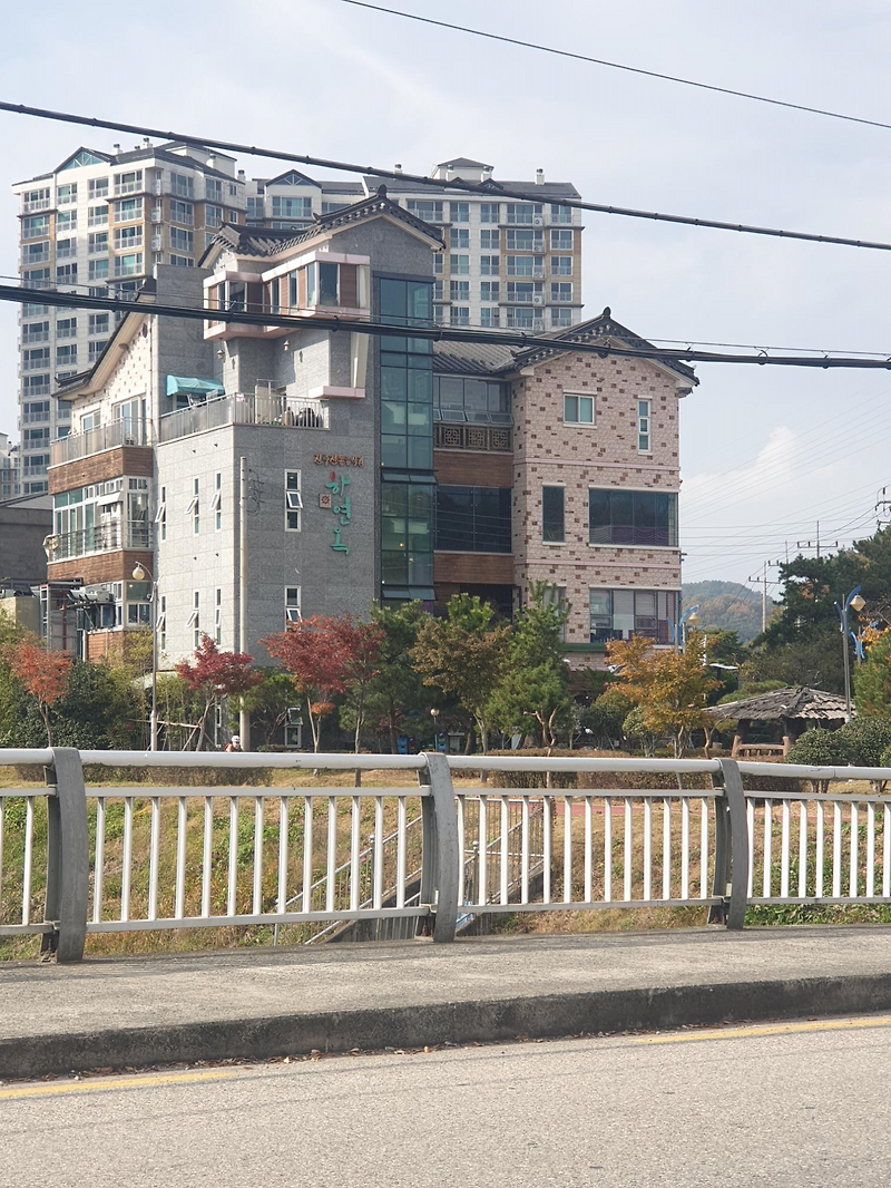 진주 맛집『하연옥  본점』진주냉면과 육전 맛집
