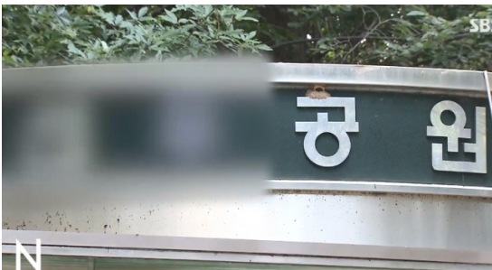 너클까지 준비한 관악구 신림 공원 성폭행범 '강간하려 접근'