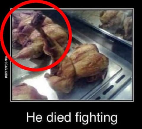 치킨 맛있는걸 어떡해 해...암 걸려도 좋아? He Died Fighting!