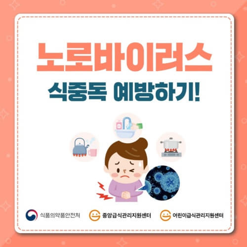 노로바이러스 증상 원인 잠복기 치료 예방방법/Norovirus infection