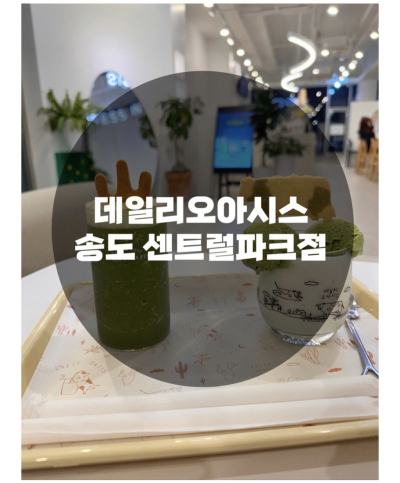: 인천 송도 센트럴파크: 이쁜 플랜테리어와 맛있는 말차음료, 사진 스팟까지 갖춘 데일리오아시스