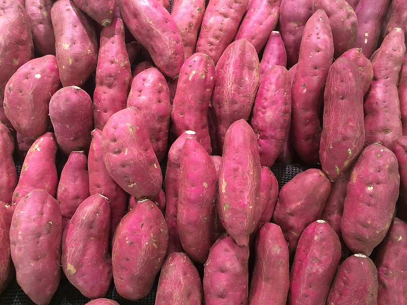 겨울 제철 고구마 맛있게 먹는 방법 추천 및 가이드