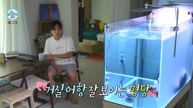 나혼자산다 한다다 이상이 수족관 수조 열대어 카페 위치 어디?