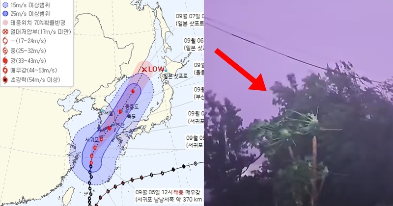 실시간 태풍 힌남노 북상 경로 추가 공개된 후 더 심각해진 이유 (+부산, 제주도, CCTV, 뜻)