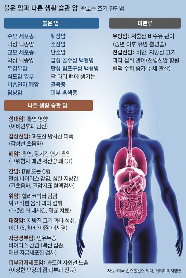 암 대비?...복잡하게 생각하지 말자...과유불급 건전한 생활 습관에 조기검진이 답