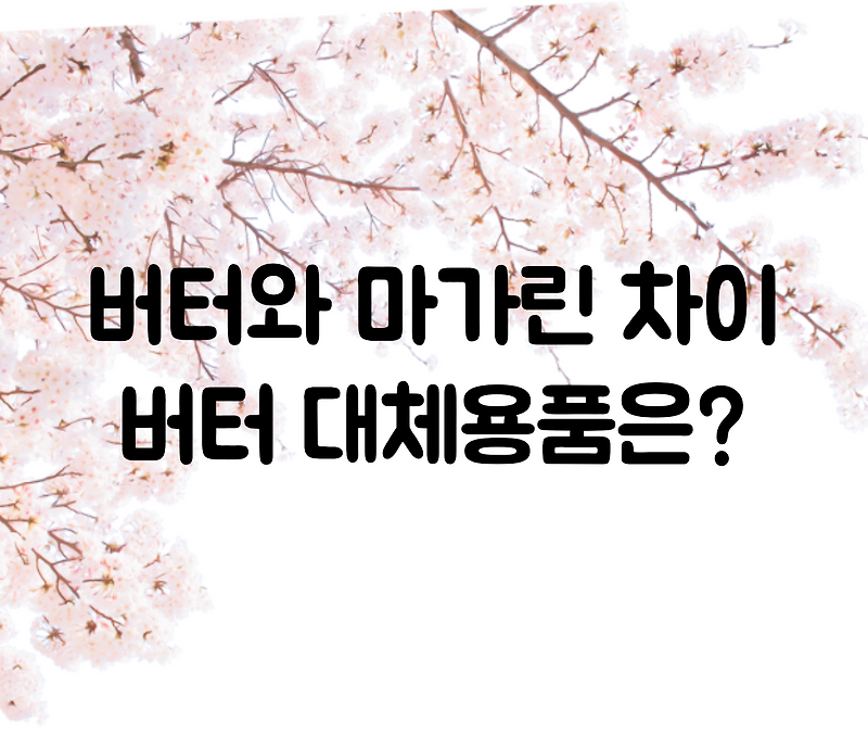 버터와 마가린 차이,맛, 구분 / 버터 대신 마가린, 식용유 괜찮을까?