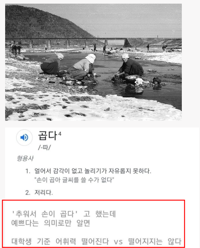 추워서 손이 곱다 뜻 모르면 어휘력 부족인가요? 난리난 댓글 창