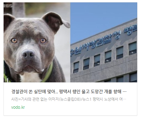 [오후뉴스] 