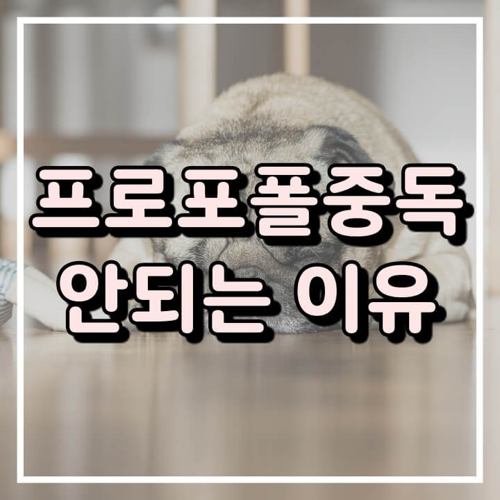 프로포폴 중독이 되지 않는 이유