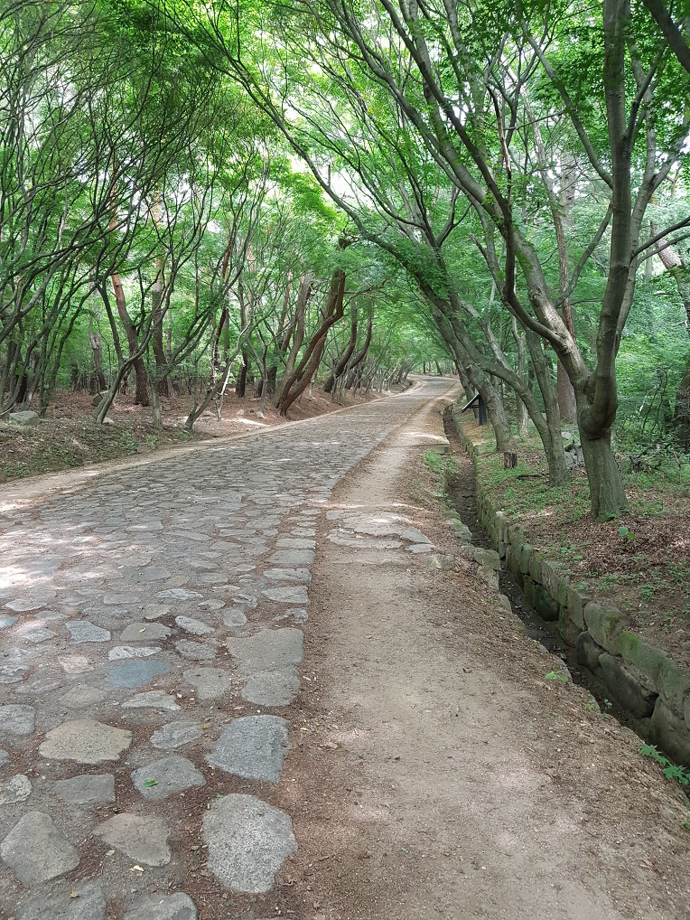 경주 토함산 [불국사~토함산~석굴암]