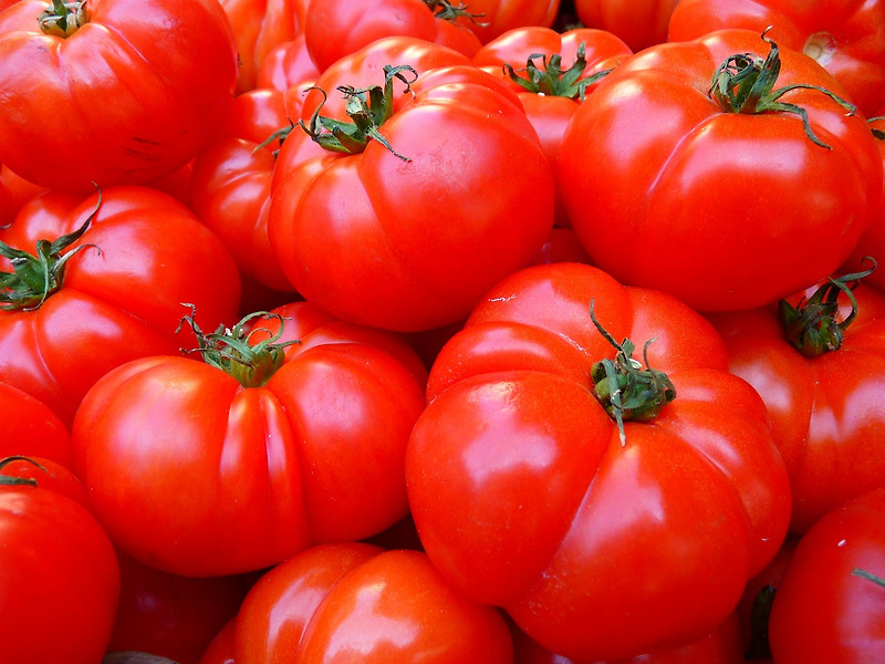 [토마토]꽈추형과 전현무가 먹는 토마토 효능, 보관법 알아보기