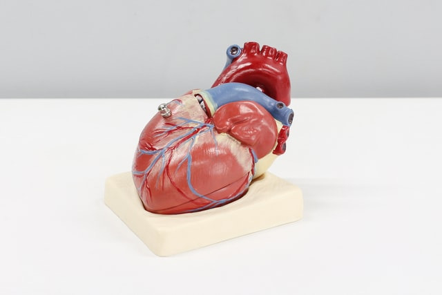 부정맥 코로나 백신 접종 괜찮을까요?