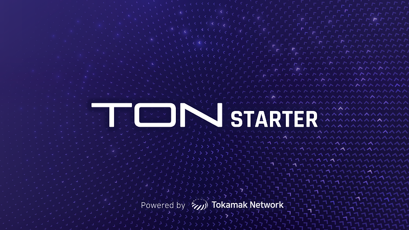 토카막 네트워크의 IDO 플랫폼 - TONStarter