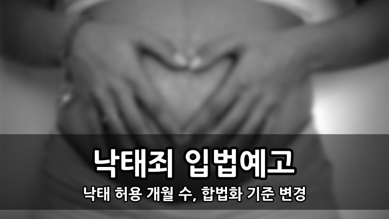 낙태죄 입법예고 - 낙태 허용 개월 수, 합법화 기준 변경