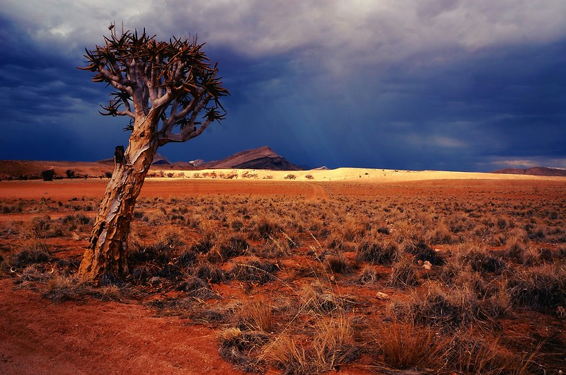 붉은 모래와 청정 바다를 갖고있는 아프리카 남서부 나미비아