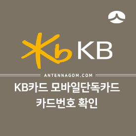 KB국민카드 모바일단독카드 카드번호 확인 / 삼성페이에 등록하는 방법