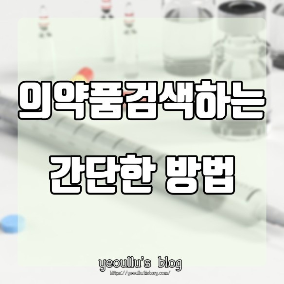 드러그인포, 약품 정보를 찾는다면 약학정보원 홈페이지