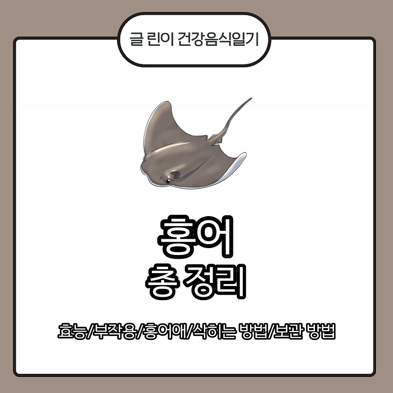 홍어 총 정리 효능/부작용/홍어애/삭히는 방법/보관 방법