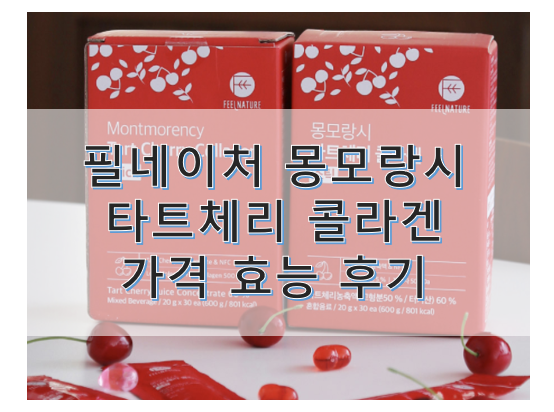 리얼 몽모랑시 타트체리 추천 효능 가격