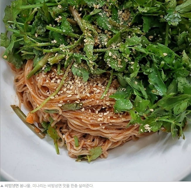 냉면의 계절!...집에서 맛있는 비빔냉면  물 냉면 만들어 먹기