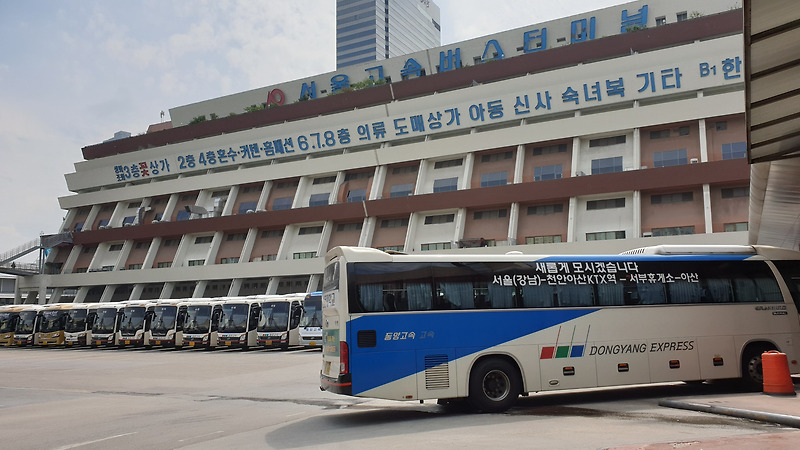 강남 서울고속버스터미널(경부/영동) 이용방법 예매 요금 시간표