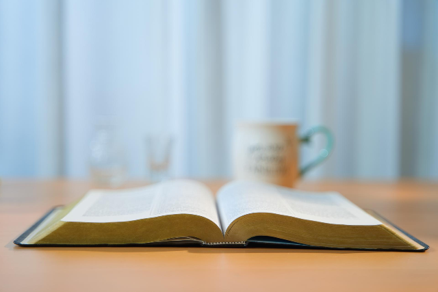 [하나님의 약속]성경에 모든 성경은 하나님의 감동으로 된 것이라고 했는데, 당신들은 왜 성경이 다는 하나님의 말씀이 아니라고 합니까?