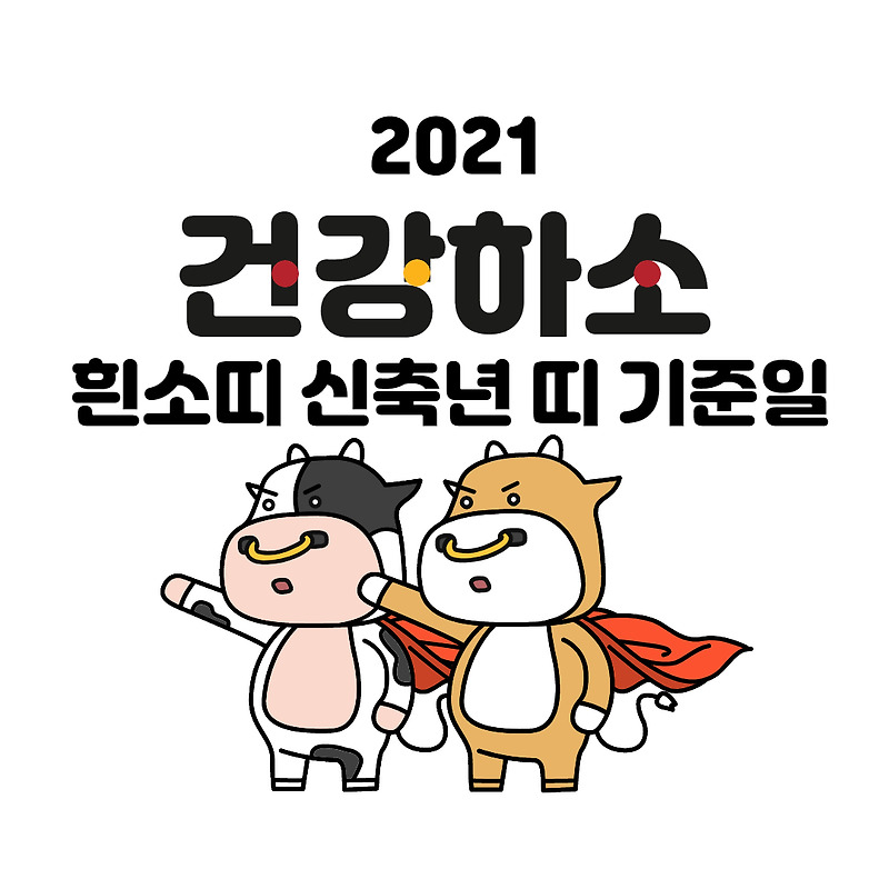 2021년 흰소띠 신축년 띠 기준일 궁합