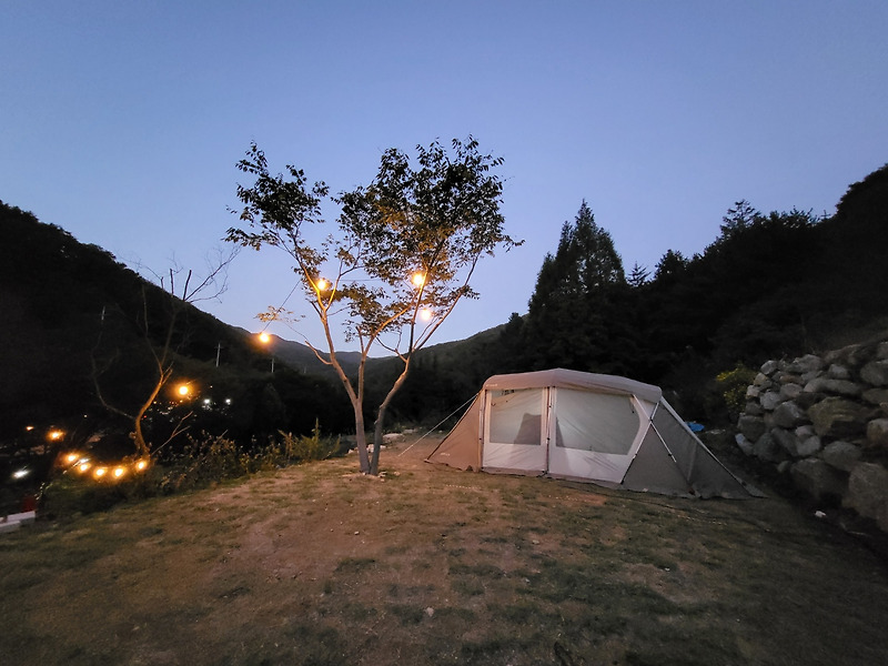 [캠린이의 캠핑준비1]_내돈내산 텐트구입편