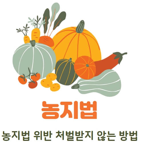 농지법 위반 처벌받지 않는 방법