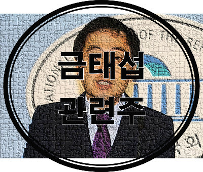 금태섭 관련주 테마주 대장주 총 정리, 서울시장 후보