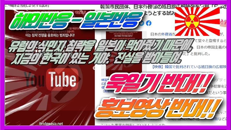 제국주의 침략을 정당화하는 욱일기 홍보영상 비판 - 일본반응