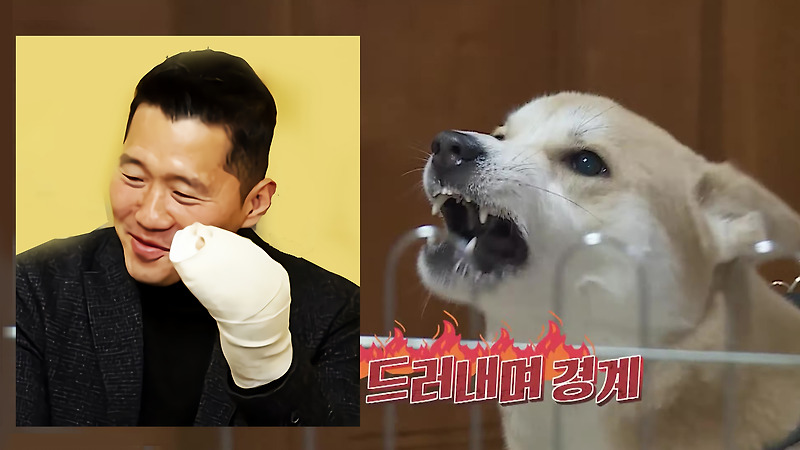 개통령 강형욱 훈련사 또 개물림 사고로 병원 긴급후송
