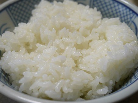 안동 백진주쌀을 사야하는 이유 3가지 !!  [최고의 밥맛을 위한 선택]