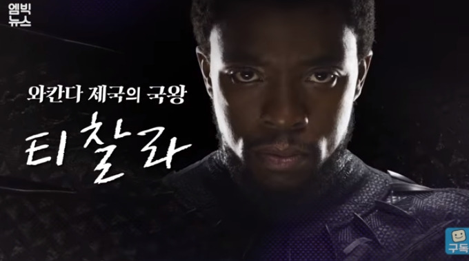 채드윅 보스만 블랙팬서 대장암 사망 추모