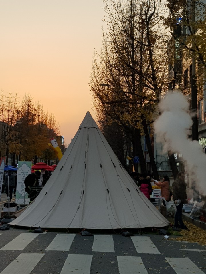 텐트의 최고봉 노르디스크 아스가르드/알페임 캠핑용품 제주도 대여