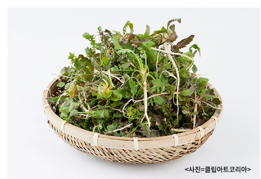 향긋하고 봄 내음 가득한 봄나물 7가지