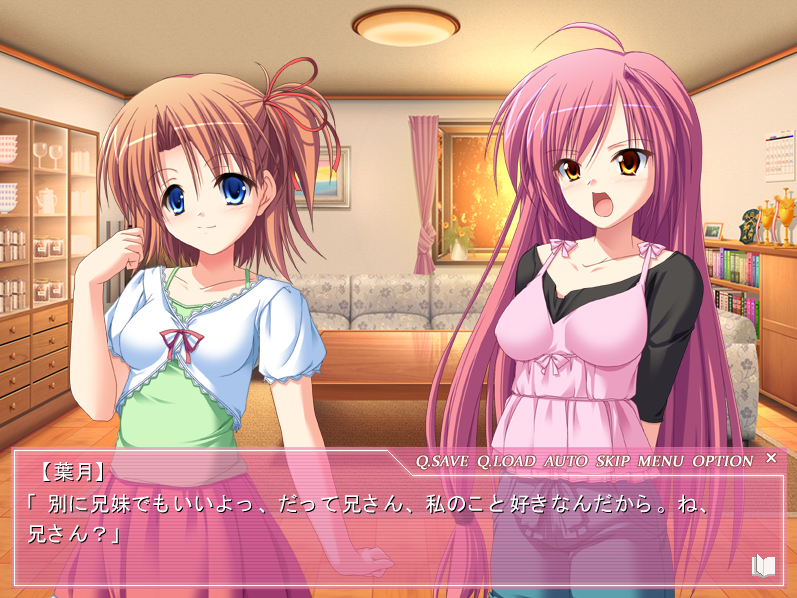 Gal Game / ギャルゲー - HSK