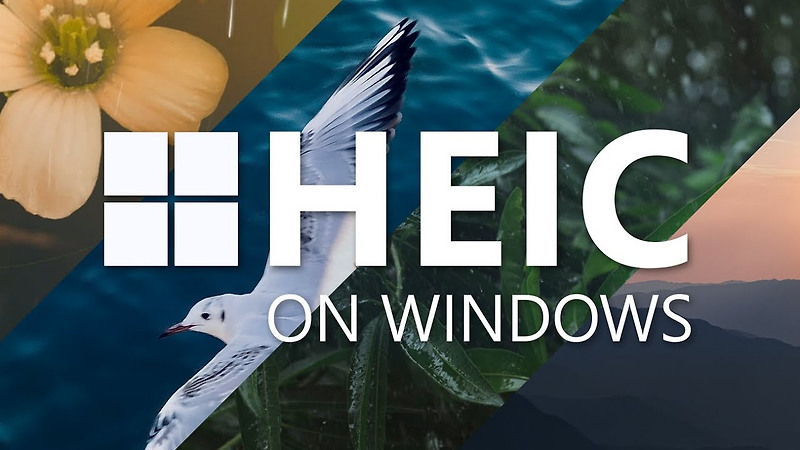 HEIC 파일 보는 방법 (windows에서)