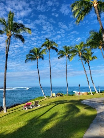 하와이 자유여행일정 : 인기 여행지, 현지 문화, 맛집 추천 및 관광 팁, 날씨