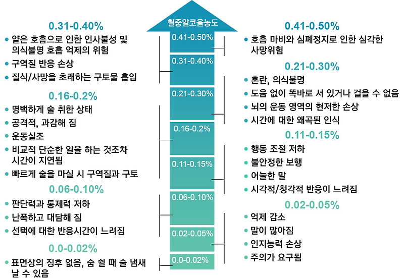 혈중알코올농도 0.2% 의미