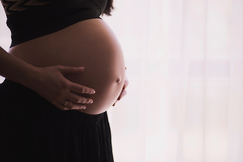 임신 8주 태아 아들, 딸 성별 구별법. 확인이 가능할까?