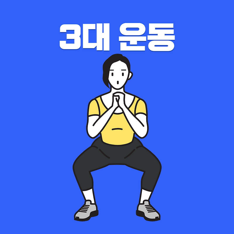 운동의 기초 3대운동