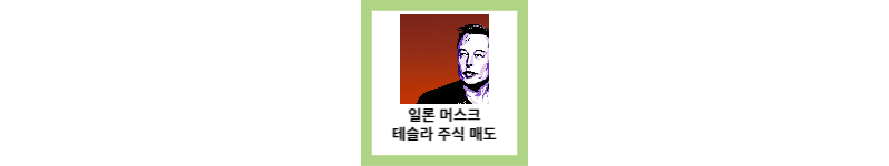 일론 머스크 테슬라 주식 대량 매도