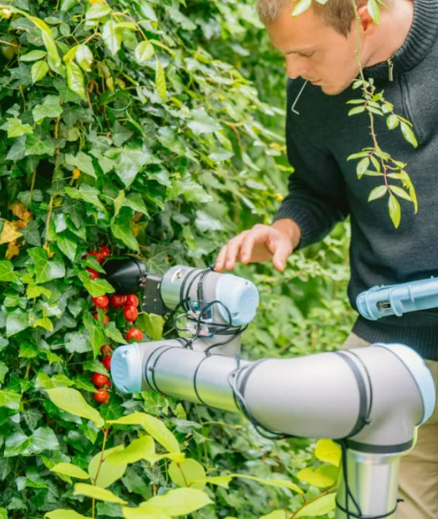'ChatGPT'가 디자인한 '토마토 수확 로봇'...실제 유용성 제고 ChatGPT Designs Tomato-Harvesting Robot