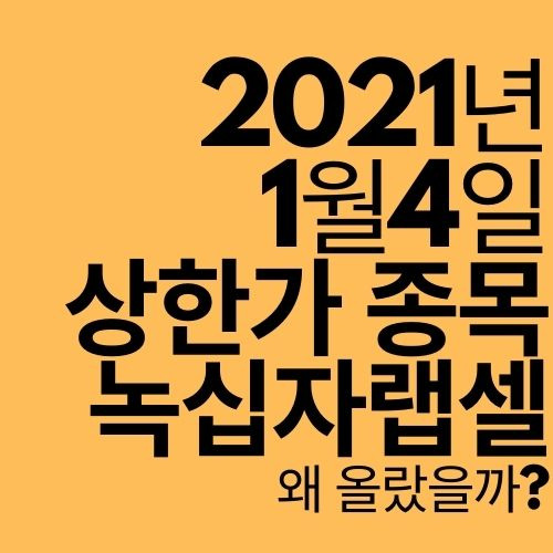 [상한가 종목] 녹십자랩셀 (왜 올랐을까?)